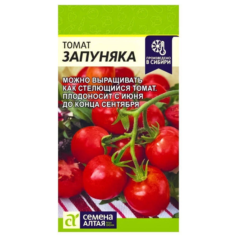 ������ ������ ����� �������� ������ �����   ����