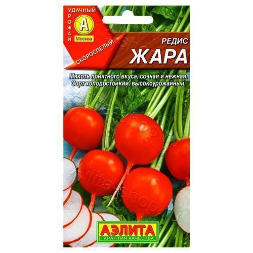 ������ ������ ����� ���� ������   ����