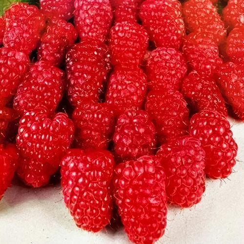 ������ ������ ������ ������������� �����   ����