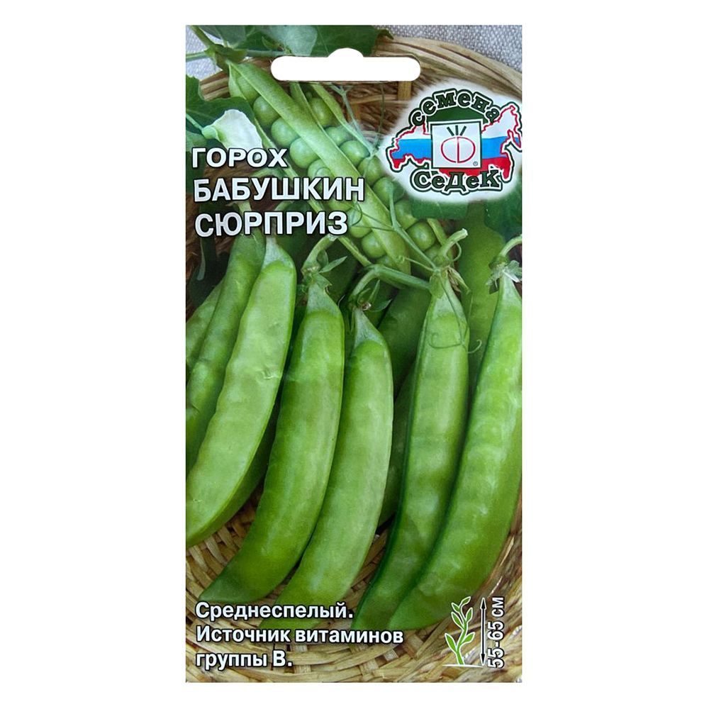 ������ ������ ����� �������� ������� �����   ����