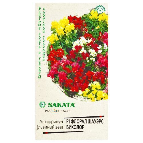 ������ ������ ���������� ������ ������ ������� F1, ����� ������� ������   ����