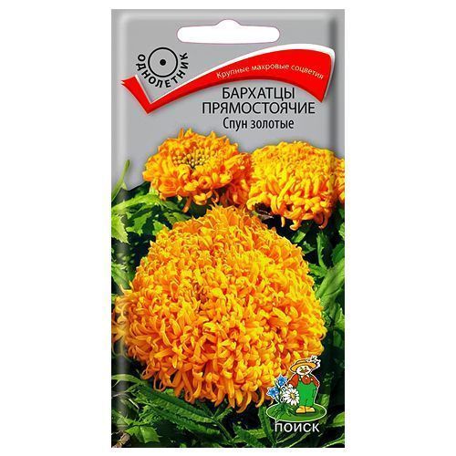 ������ ������ �������� ������������ ���� ������� �����   ����