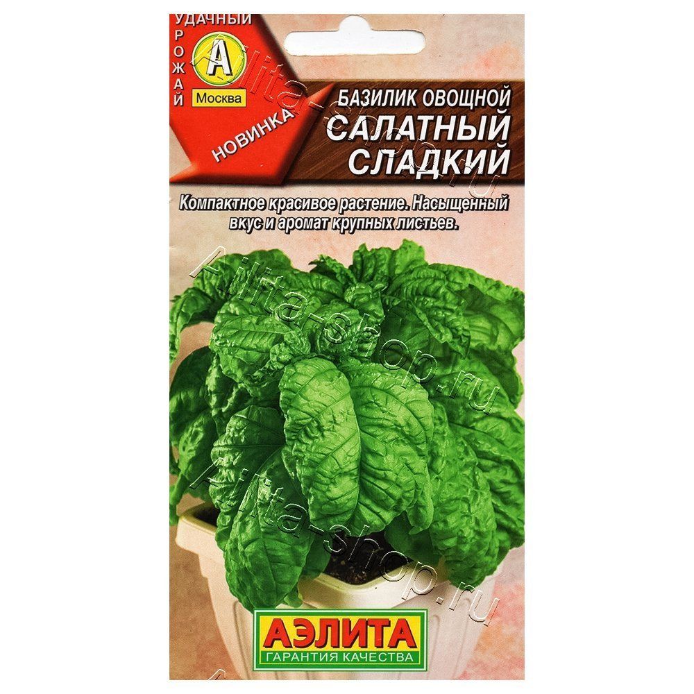 ������ ������ ������� ������� �������� ������� ������   ����