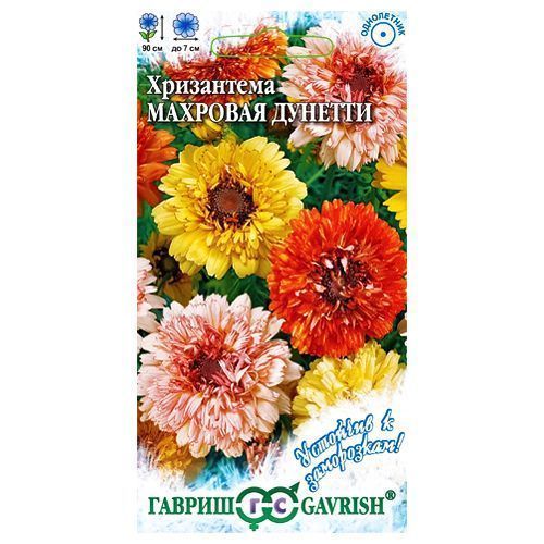 ������ ������ ���������� �������, ����� ������� ������   ����