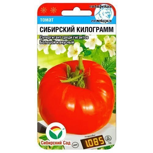 ������ ������ ����� ��������� ��������� ��������� ���   ����