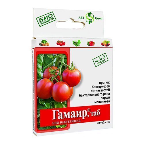 ������ ������ ������, �������� �� �������� �������� 20 ��   ����