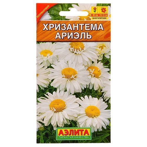 ������ ������ ���������� ������ ������   ����