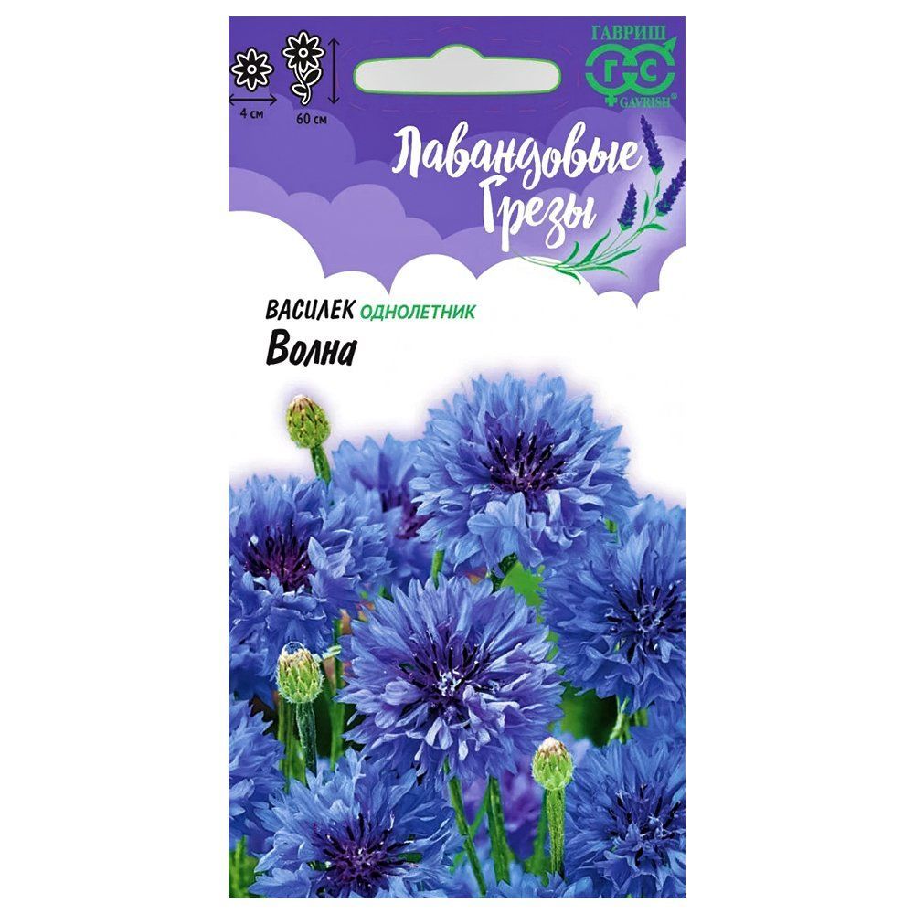 ������ ������ ������� ����� ������   ����