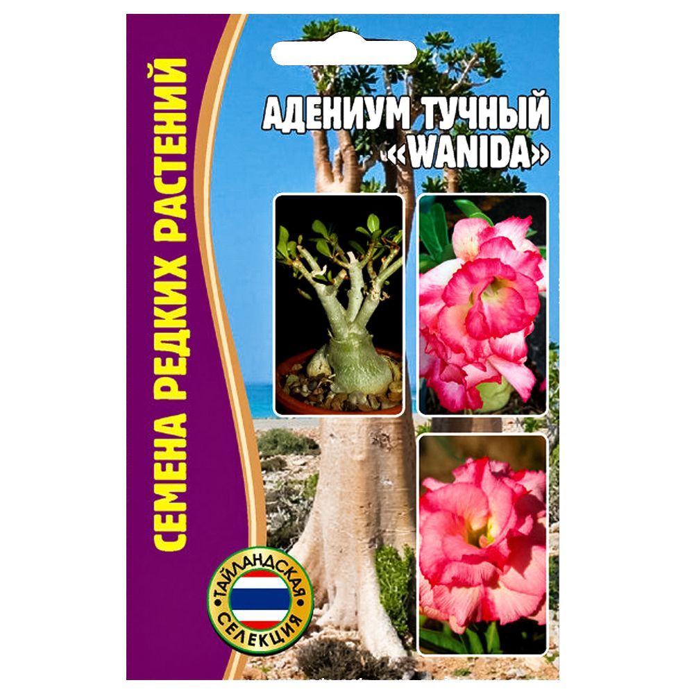 ������ ������ ������� Wanida ������ ������   ����