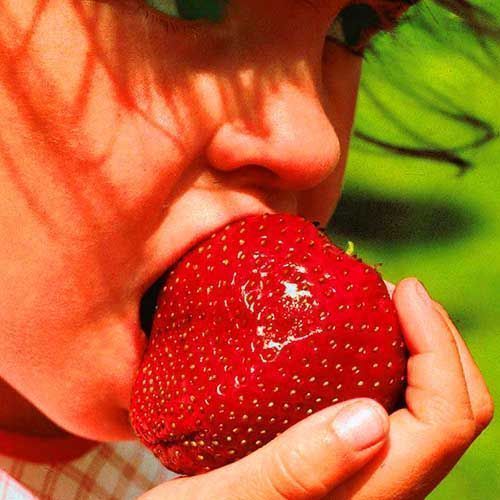 ������ ������ ��������� ������������� ����������   ����