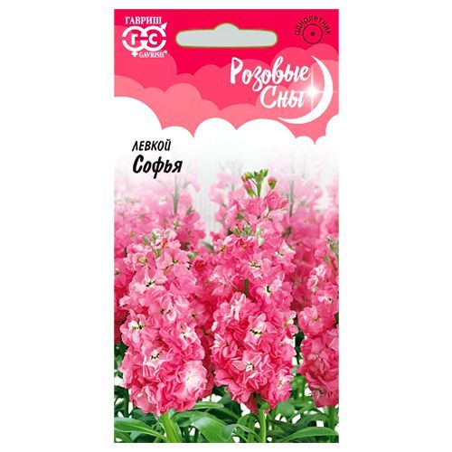 ������ ������ ������ ����� ������   ����