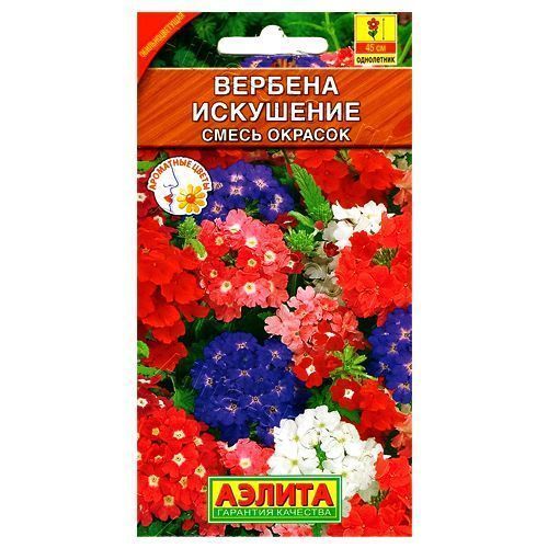 ������ ������ ������� ���������, ����� ������� ������   ����