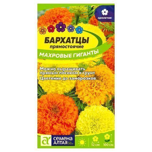 ������ ������ �������� �������� ������� ������ �����   ����