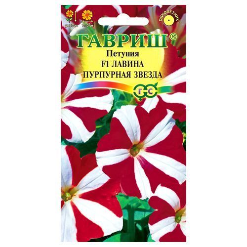 ������ ������ ������� ��������� ������ ��������� ������ F1 ������   ����