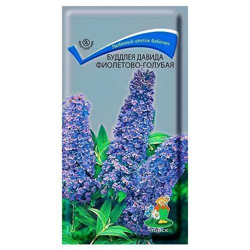 ������ ������ ������� ������ ���������-������� �����   ����