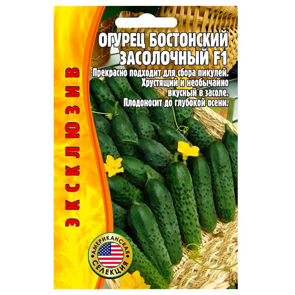 ������ ������ ������ ���������� ���������� F1 ������ ������   ����