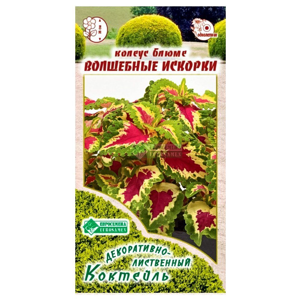 ������ ������ ������ ����� ��������� ������� ����������   ����