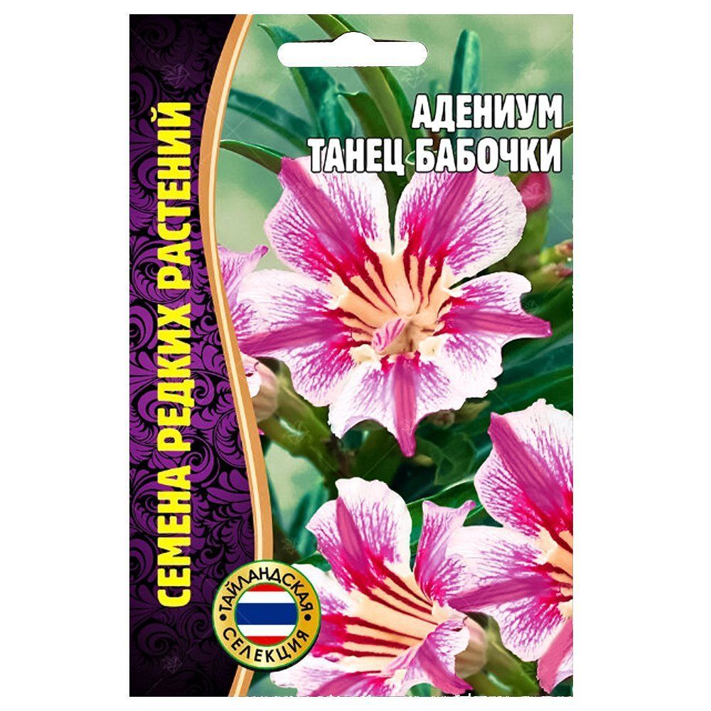 ������ ������ ������� ����� ������� ������ ������   ����