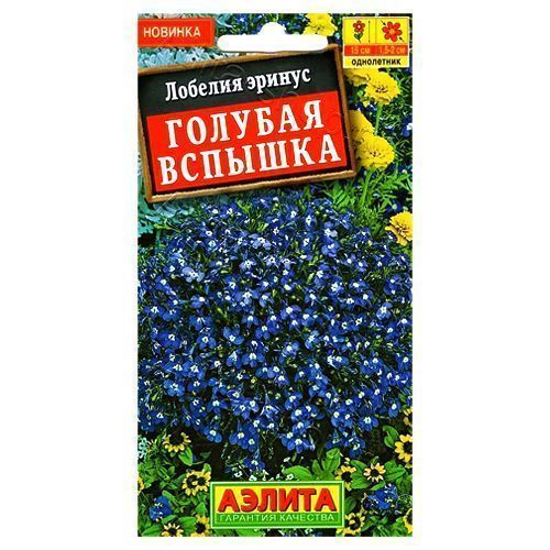 ������ ������ ������� ������� ������� ������   ����