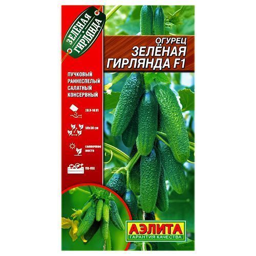 ������ ������ ������ ������� �������� F1 ������   ����