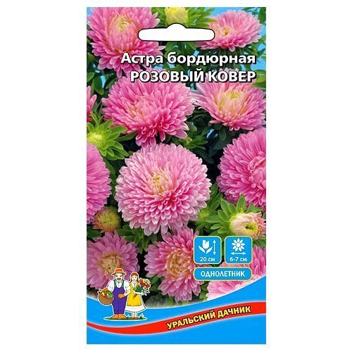 ������ ������ ����� ��������� ������� ����� ��������� ������   ����