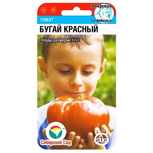 ������ ������ ����� ����� ������� ��������� ���   ����