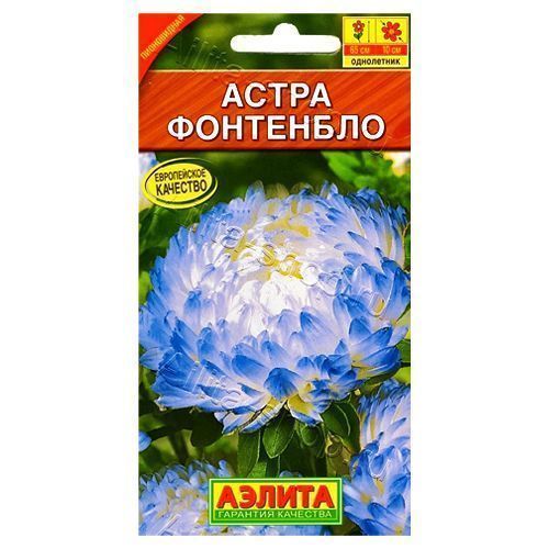 ������ ������ ����� ����������� ��������� ������   ����