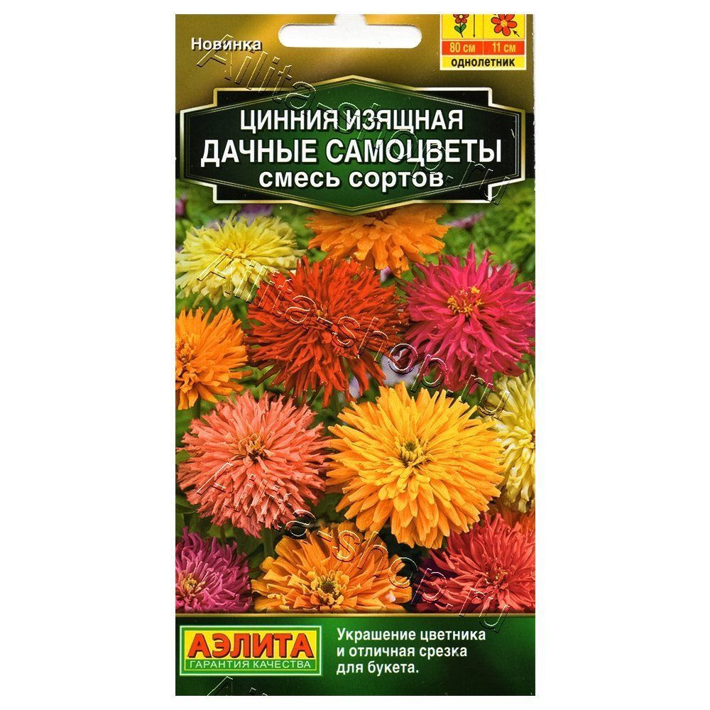 ������ ������ ������ ������ ���������, ����� ������� ������   ����