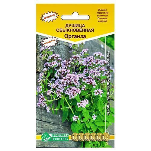 ������ ������ ������ (�������) ������������ ������� ����������   ����