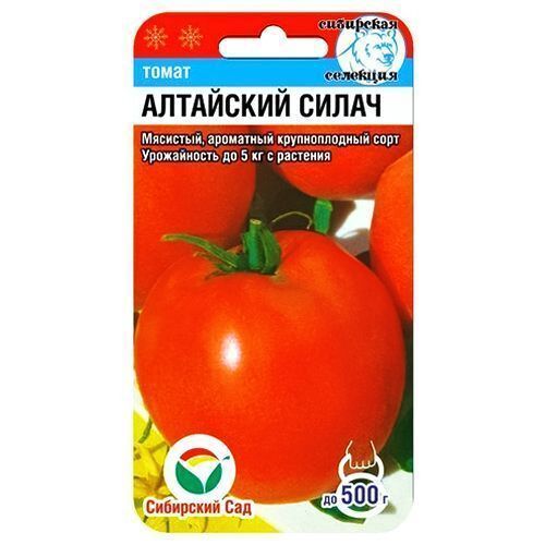 ������ ������ ����� ��������� ����� ��������� ���   ����