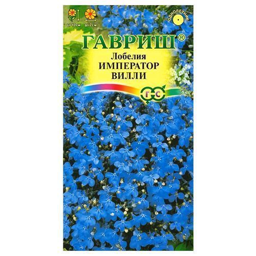 ������ ������ ������� ��������� ����� ������   ����