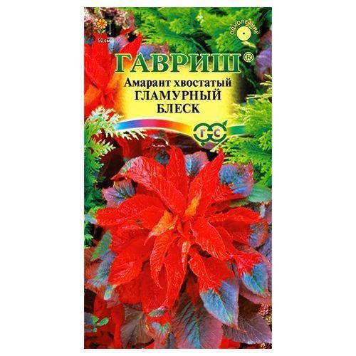 ������ ������ ������� ��������� ����� ������   ����