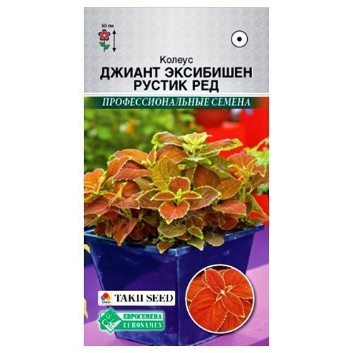 ������ ������ ������ ������ ��������� ������ ��� ����������   ����