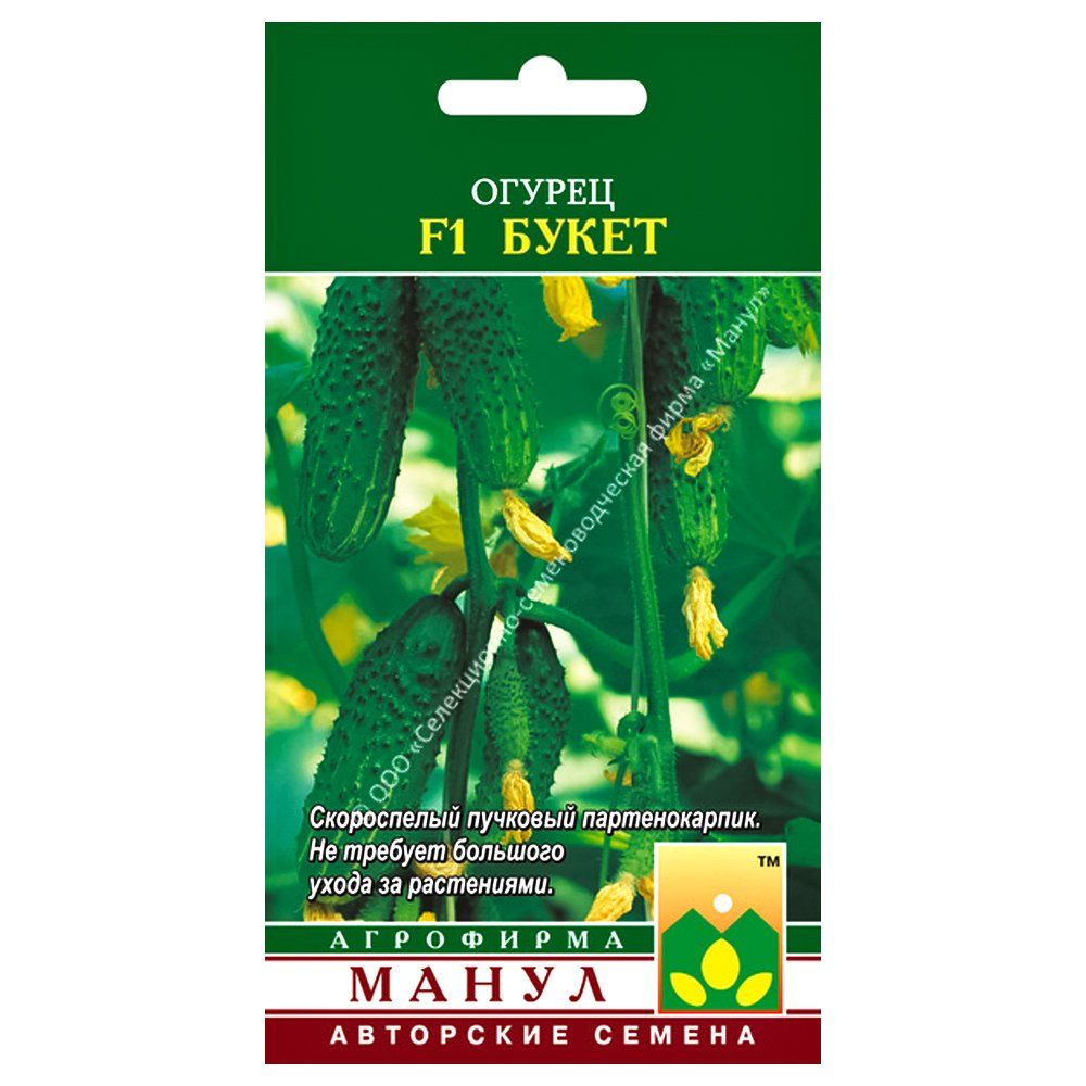 ������ ������ ������ ����� F1 �����   ����