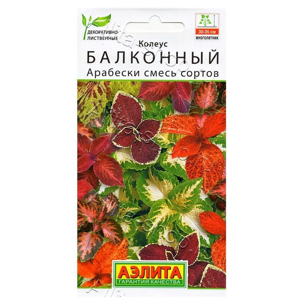 ������ ������ ������ ��������� ��������, ����� ������� ������   ����