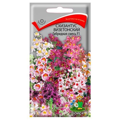 ������ ������ ��������� ����������� F1, ����� ������� �����   ����