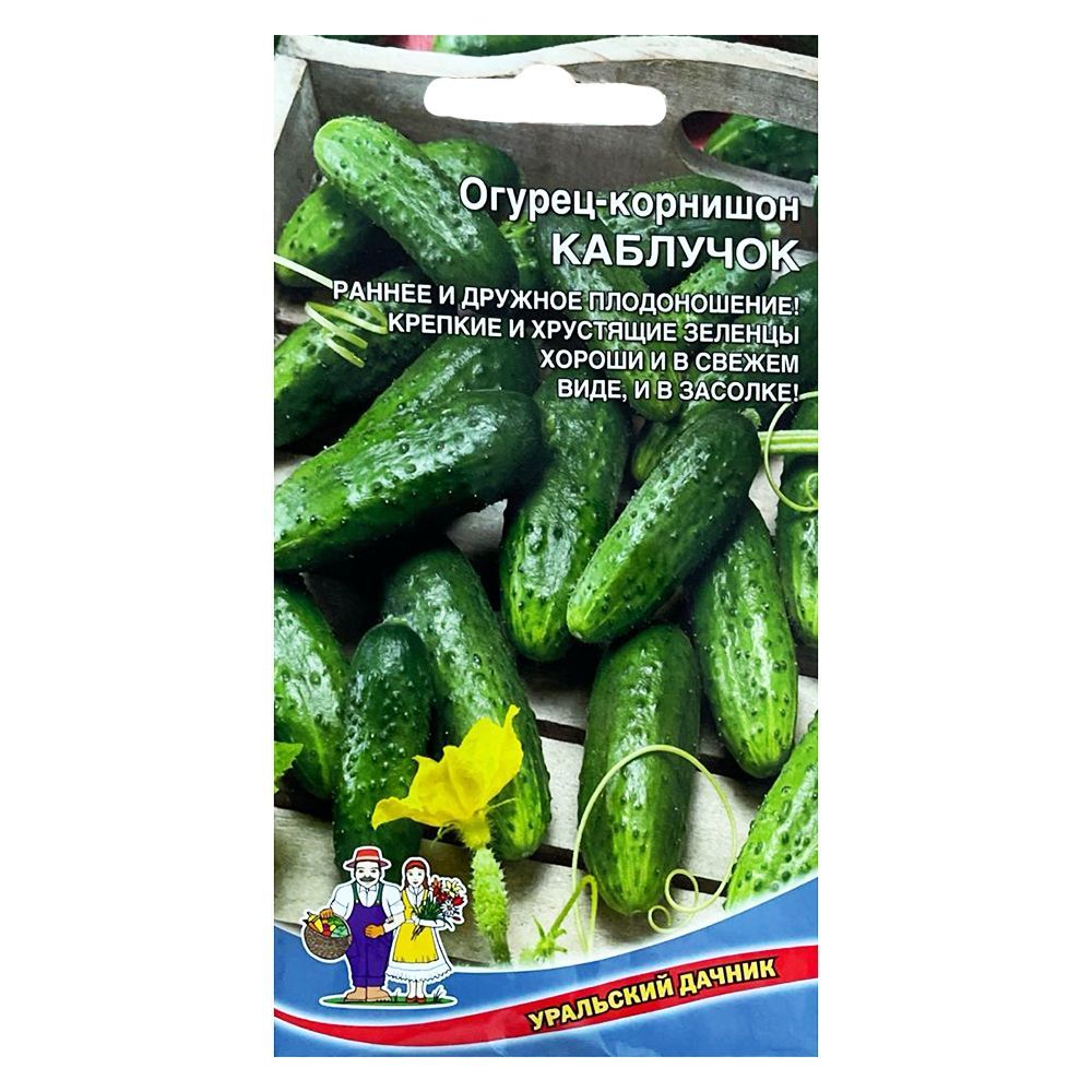 ������ ������ ������ �������� F1 ��������� ������   ����