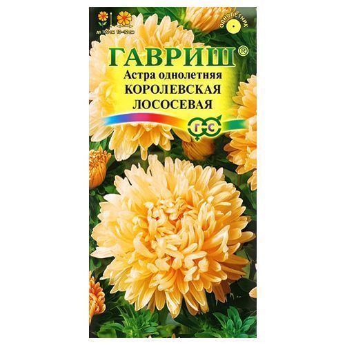 ������ ������ ����� ����������� ����������� ��������� ������   ����