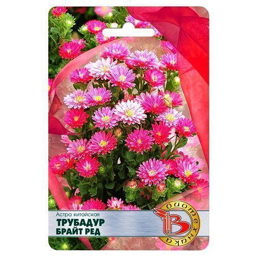 ������ ������ ����� ��������� �������� ����� ��� ����������   ����