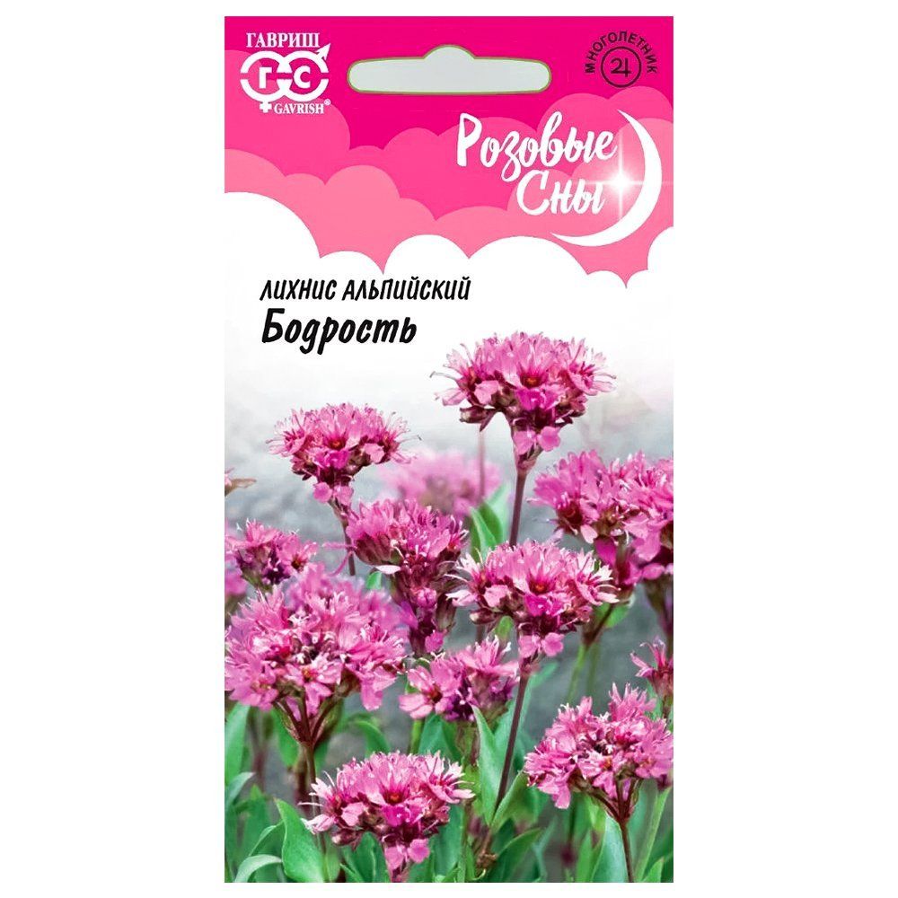 ������ ������ ������ ���������� �������� ������   ����