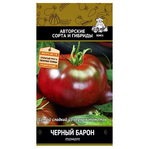 ������ ������ ����� ������ ����� �����   ����