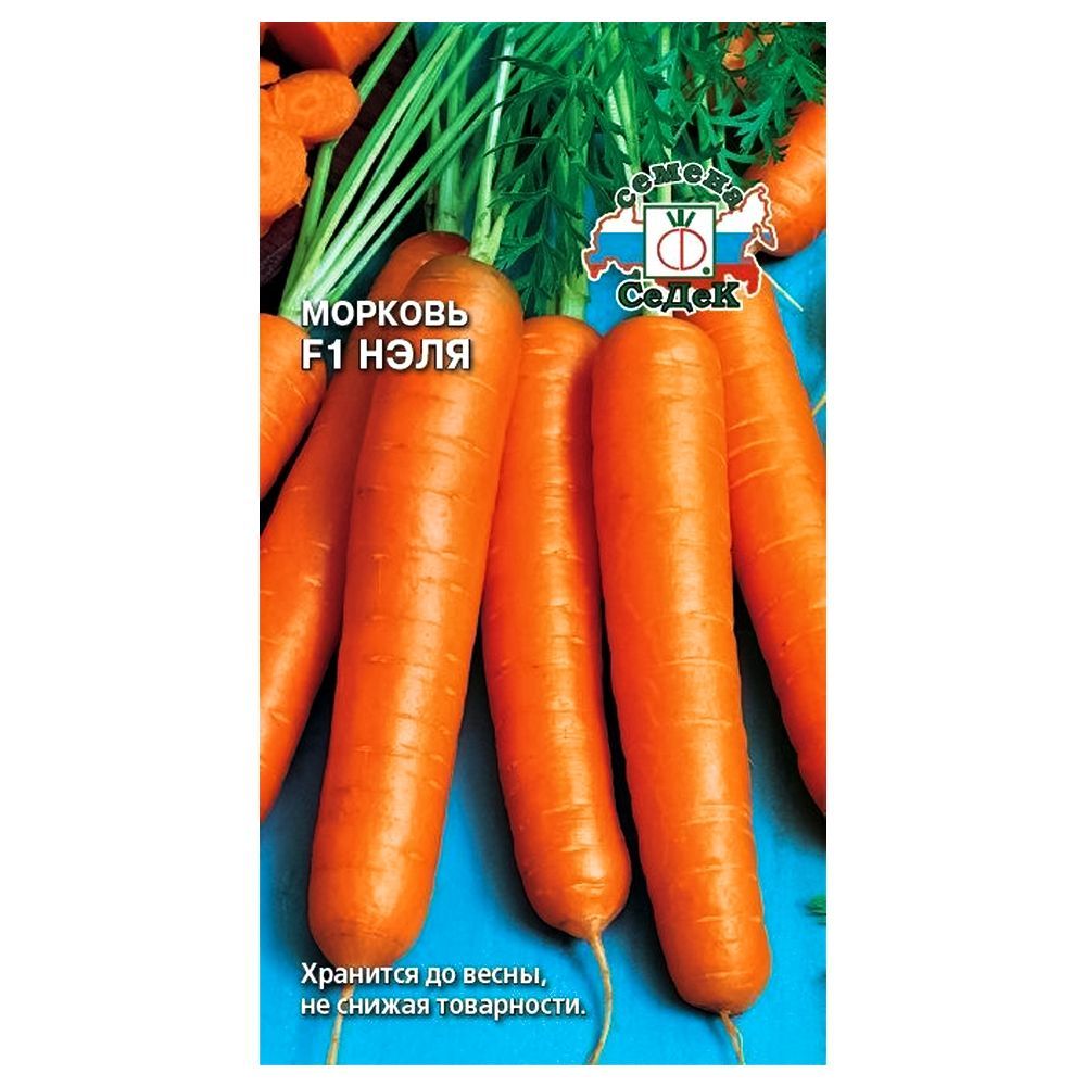 ������ ������ ������� ���� F1 �����   ����