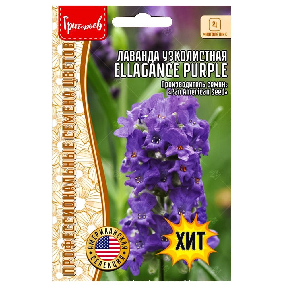    Ellagance Purple      -     , -, 