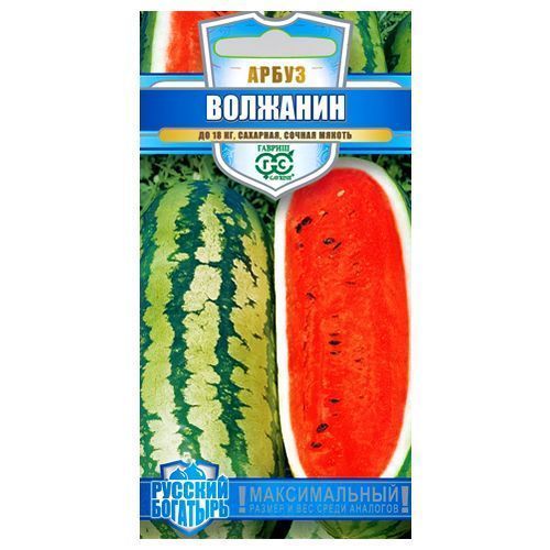 ������ ������ ����� �������� ������   ����