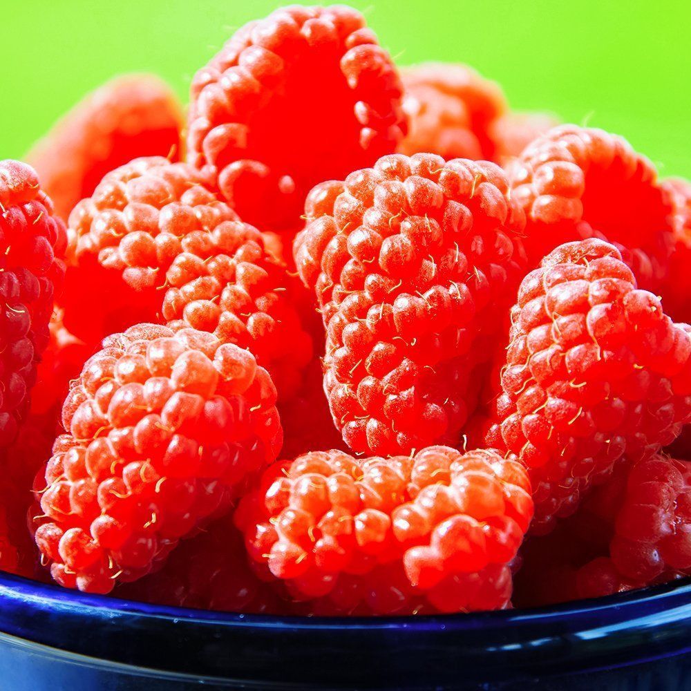 ������ ������ ������ ������������ (�����������) �����-��������   ����