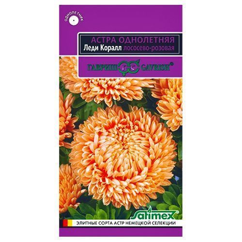 ������ ������ ����� ���� ����� ��������-������� ������   ����