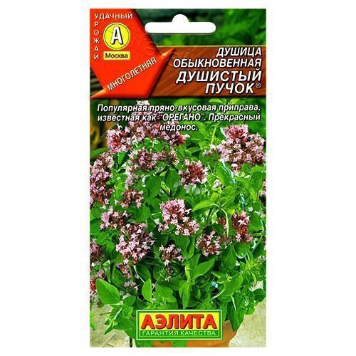 ������ ������ ������ (�������) ������������ �������� ����� ������   ����