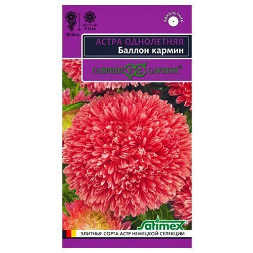 ������ ������ ����� ������ ������ ������   ����