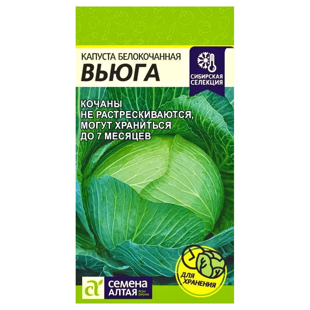 ������ ������ ������� ������������ ����� ������ �����   ����