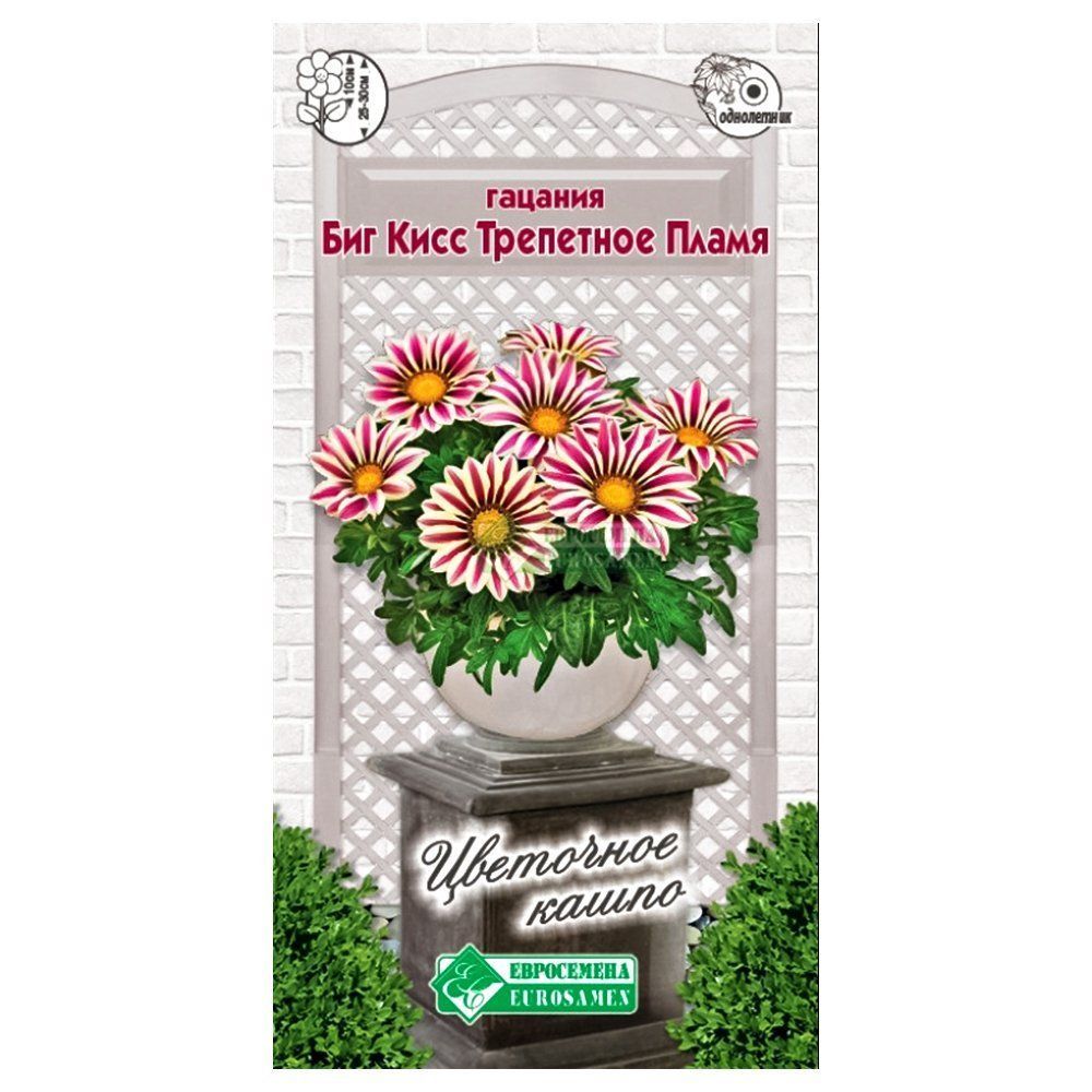 ������ ������ ������� ��� ���� ��������� ����� ����������   ����